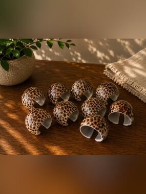 Vintage Set of 10 Cowrie Shell Napkin Rings 🌊 Coastal Beach House Table Decor